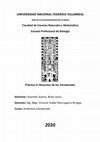 Research paper thumbnail of Músculos de los Vertebrados