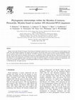 Research paper thumbnail of Phylogenetic relationships within the Mysidae (Crustacea, Peracarida, Mysida) based on nuclear 18S ribosomal RNA sequences