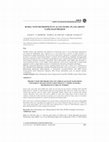 Research paper thumbnail of BURSA YENİ METROPOLİTAN ALANI TEMEL PLANLARININ YAPILMASI PROJESİ