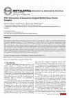 Research paper thumbnail of DNA Extraction of Sumatran Striped Rabbit from Tissue Samples