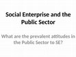 Research paper thumbnail of Social Enterprise and the Public Sector