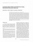 Research paper thumbnail of Examining Ethnic Identity and Self-Esteem Among Biracial and Monoracial Adolescents