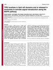 Research paper thumbnail of TfR2 localizes in lipid raft domains and is released in exosomes to activate signal transduction along the MAPK pathway