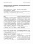 Research paper thumbnail of Dopamine transporter-dependent and -independent actions of trace amine b-phenylethylamine