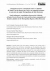 Research paper thumbnail of Ocupações de terra: constelações entre o Caldeirão de Santa Cruz do Deserto no Ceará e as ocupações urbanas de sem-teto da região Metropolitana de Belo Horizonte