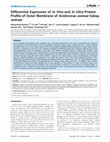 Research paper thumbnail of Differential Expression of In Vivo and In Vitro Protein Profile of Outer Membrane of Acidovorax avenae Subsp. avenae