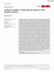 Research paper thumbnail of Landscape semaphore: Seeing mud and mangroves in the Brazilian Northeast