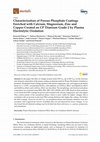 Research paper thumbnail of Characterization of Porous Phosphate Coatings Enriched with Calcium, Magnesium, Zinc and Copper Created on CP Titanium Grade 2 by Plasma Electrolytic Oxidation