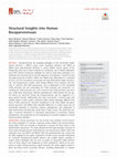 Research paper thumbnail of Structural insights into emerging pediatric pathogens human bocaparvoviruses