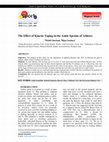 Research paper thumbnail of The Effect of Kinesio Taping in the Ankle Sprains of Athletes