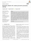 Research paper thumbnail of Electrically conductive SiC ceramics processed by pressureless sintering