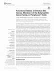 Research paper thumbnail of Functional Alleles of Chicken BG Genes, Members of the Butyrophilin Gene Family, in Peripheral T Cells