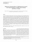 Research paper thumbnail of Molecular characterization of Staphylococcus epidermidis strains isolated from a teaching hospital in Shanghai, China