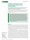 Research paper thumbnail of Calnexin is necessary for T cell transmigration into the central nervous system