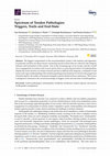 Research paper thumbnail of Spectrum of Tendon Pathologies: Triggers, Trails and End-State