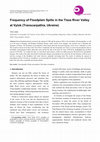 Research paper thumbnail of Frequency of Floodplain Spills in the Tisza River Valley at Vylok (Transcarpathia, Ukraine)