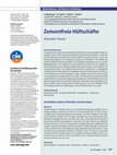 Research paper thumbnail of Zementfreie Hüftschäfte