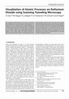 Research paper thumbnail of Visualization of atomic processes on ruthenium dioxide using scanning tunneling microscopy