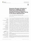 Research paper thumbnail of Dopamine Receptor Activation Is Required for GABAergic Spike Timing-Dependent Plasticity in Response to Complex Spike Pairing in the Ventral Tegmental Area