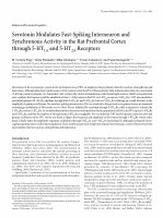 Research paper thumbnail of Serotonin Modulates Fast-Spiking Interneuron and Synchronous Activity in the Rat Prefrontal Cortex through 5-HT1A and 5-HT2A Receptors