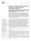 Research paper thumbnail of Major transcriptional changes observed in the Fulani, an ethnic group less susceptible to malaria