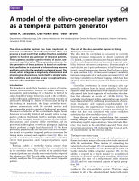 Research paper thumbnail of A model of the olivo-cerebellar system as a temporal pattern generator