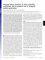 Research paper thumbnail of Invariant phase structure of olivo-cerebellar oscillations and its putative role in temporal pattern generation