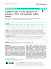 Research paper thumbnail of A genome-wide scan for signatures of selection in Azeri and Khuzestani buffalo breeds