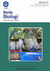 Research paper thumbnail of Pellacalyx Symphiodiscus STAFP FROM LONG BAGUN, MAHAKAM HULU: MORPHOLOGICAL CHARACTERIZATION AND ITS DISTRIBUTION