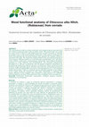 Research paper thumbnail of Wood functional anatomy of Chiococca alba Hitch. (Rubiaceae) from cerrado