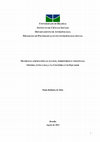 Research paper thumbnail of Matronas afropacíficas: fluxos, territórios e violências: gênero, etnia e raça na Colômbia e no Equador