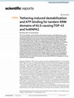 Research paper thumbnail of Tethering-induced destabilization and ATP-binding for tandem RRM domains of ALS-causing TDP-43 and hnRNPA1