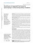 Research paper thumbnail of Identification of expanded T-cell clones by spectratyping in nonfunctioning kidney transplants