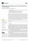 Research paper thumbnail of A Brief Review of the Mechanisms of β-Cell Dedifferentiation in Type 2 Diabetes