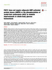 Research paper thumbnail of FGF21 does not require adipocyte AMP-activated protein kinase (AMPK) or the phosphorylation of acetyl-CoA carboxylase (ACC) to mediate improvements in whole-body glucose homeostasis