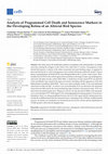 Research paper thumbnail of Analysis of Programmed Cell Death and Senescence Markers in the Developing Retina of an Altricial Bird Species