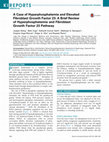 Research paper thumbnail of A Case of Hyperphosphatemia and Elevated Fibroblast Growth Factor 23: A Brief Review of Hyperphosphatemia and Fibroblast Growth Factor 23 Pathway