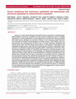 Research paper thumbnail of Runx1 stabilizes the mammary epithelial cell phenotype and prevents epithelial to mesenchymal transition