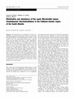 Research paper thumbnail of Distribution and abundance of the squid Moroteuthis ingens (Cephalopoda: Onychoteuthidae) in the Falkland Islands region of the South Atlantic