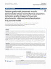 Research paper thumbnail of Tendon grafts with preserved muscle demonstrate similar biomechanical properties to tendon grafts stripped of muscular attachments: a biomechanical evaluation in a porcine model