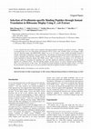 Research paper thumbnail of Selection of Ovalbumin-specific Binding Peptides through Instant Translation in Ribosome Display Using E. coli Extract