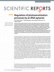 Research paper thumbnail of Regulation of photosensitisation processes by an RNA aptamer