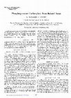 Research paper thumbnail of Phosphopyruvate carboxylase from Baker's yeast. III. The mechanism of oxalocetate decarboxylation