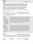 Research paper thumbnail of A Diffuse Leptomeningeal Glioneural Tumor Case Producing Hydrocephalus and Polyradiculopathy