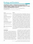 Research paper thumbnail of Scrophularia arguta, a widespread annual plant in the Canary Islands: a single recent colonization event or a more complex phylogeographic pattern?