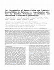 Research paper thumbnail of Photophysics of Deoxycytidine and 5-Methyldeoxycytidine in Solution: A Comprehensive Picture by Quantum Mechanical Calculations and Femtosecond Fluorescence Spectroscopy