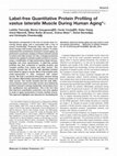 Research paper thumbnail of Label-free Quantitative Protein Profiling of vastus lateralis Muscle During Human Aging