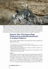 Research paper thumbnail of Summer diet of European Shags Phalacrocorax aristotelis desmarestii in southern Mallorca