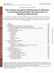 Research paper thumbnail of The Nucleus Accumbens: Mechanisms of Addiction across Drug Classes Reflect the Importance of Glutamate Homeostasis