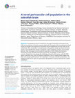 Research paper thumbnail of A novel perivascular cell population in the zebrafish brain